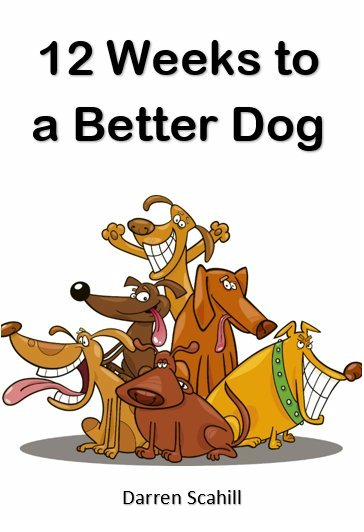 12 Weeks to a Better Dog — book cover by Darren Scahill