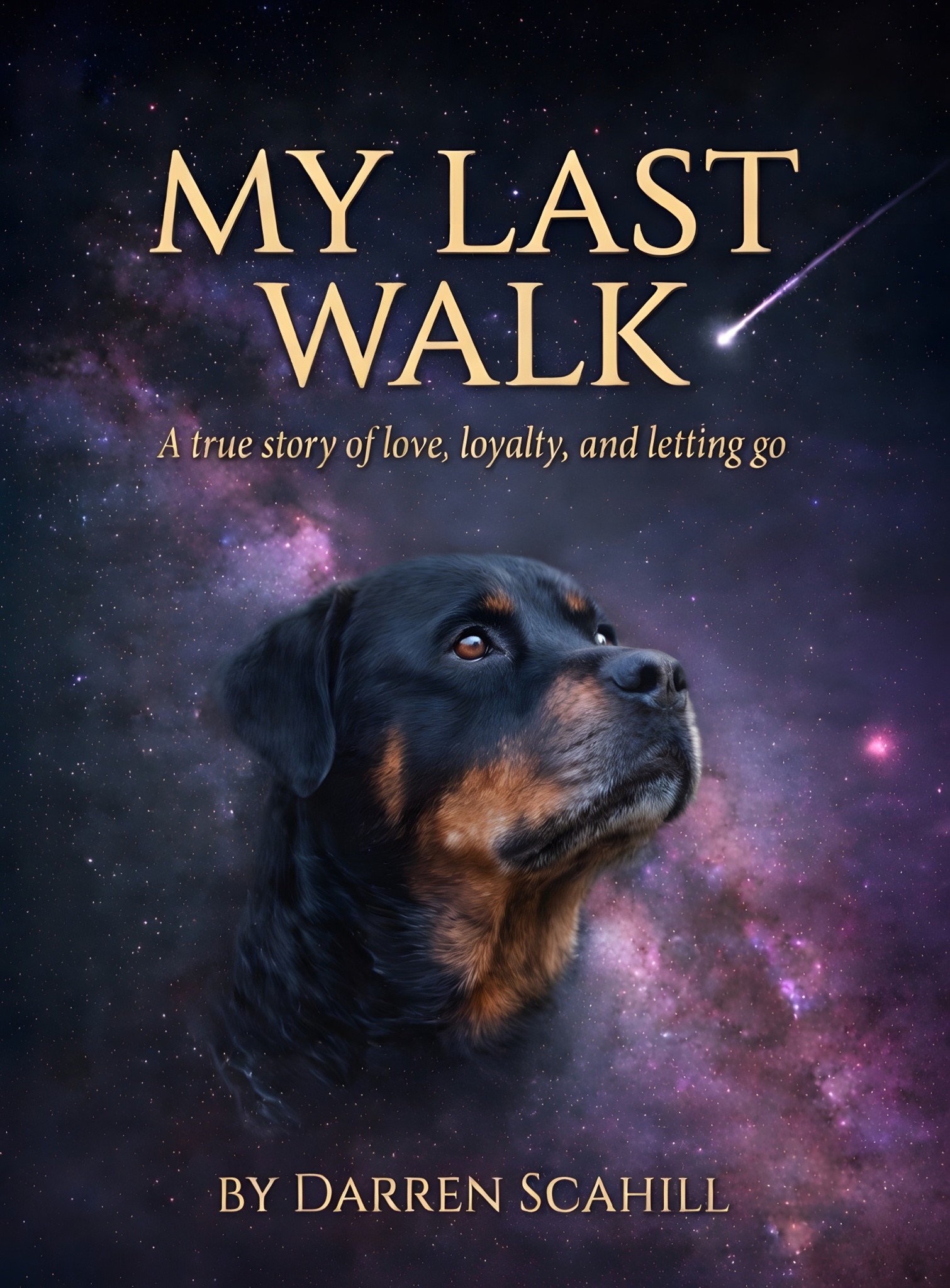 My Last Walk — A true story of love, loyalty, and letting go by Darren Scahill