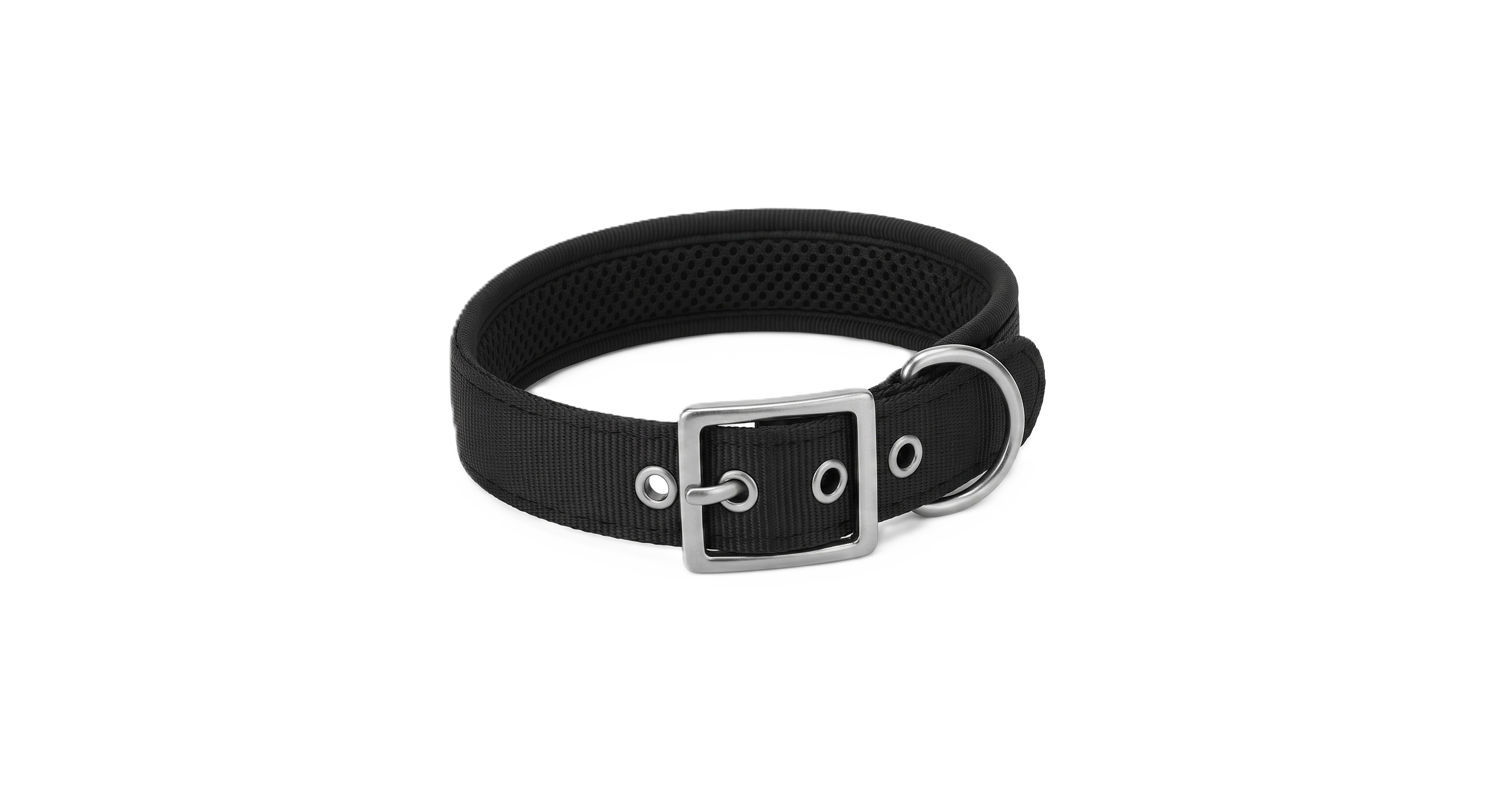 Soft collar - flat buckle collar with padding and D-ring